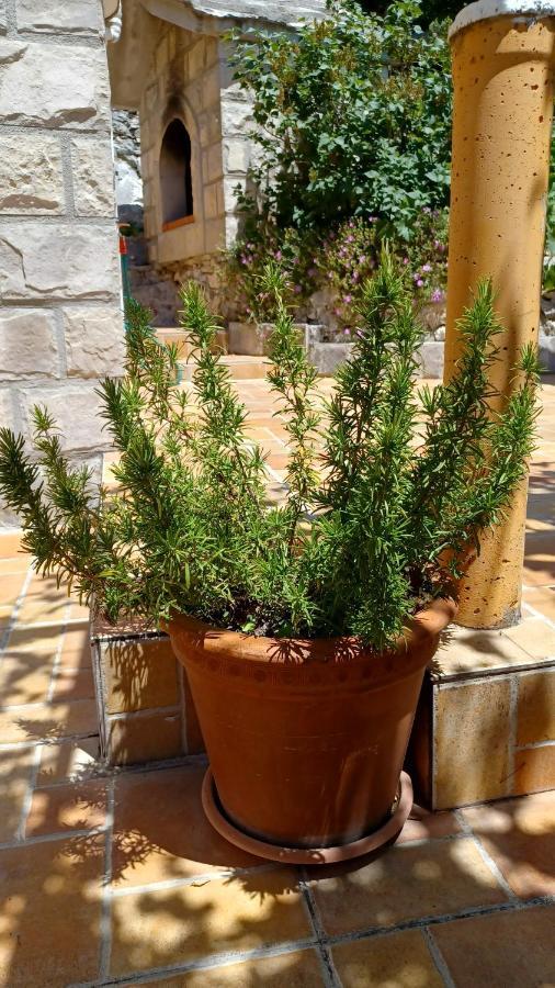 Holiday House Terezija Baška Voda Екстериор снимка