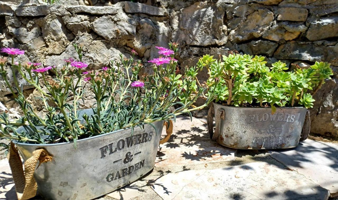 Holiday House Terezija Baška Voda Екстериор снимка